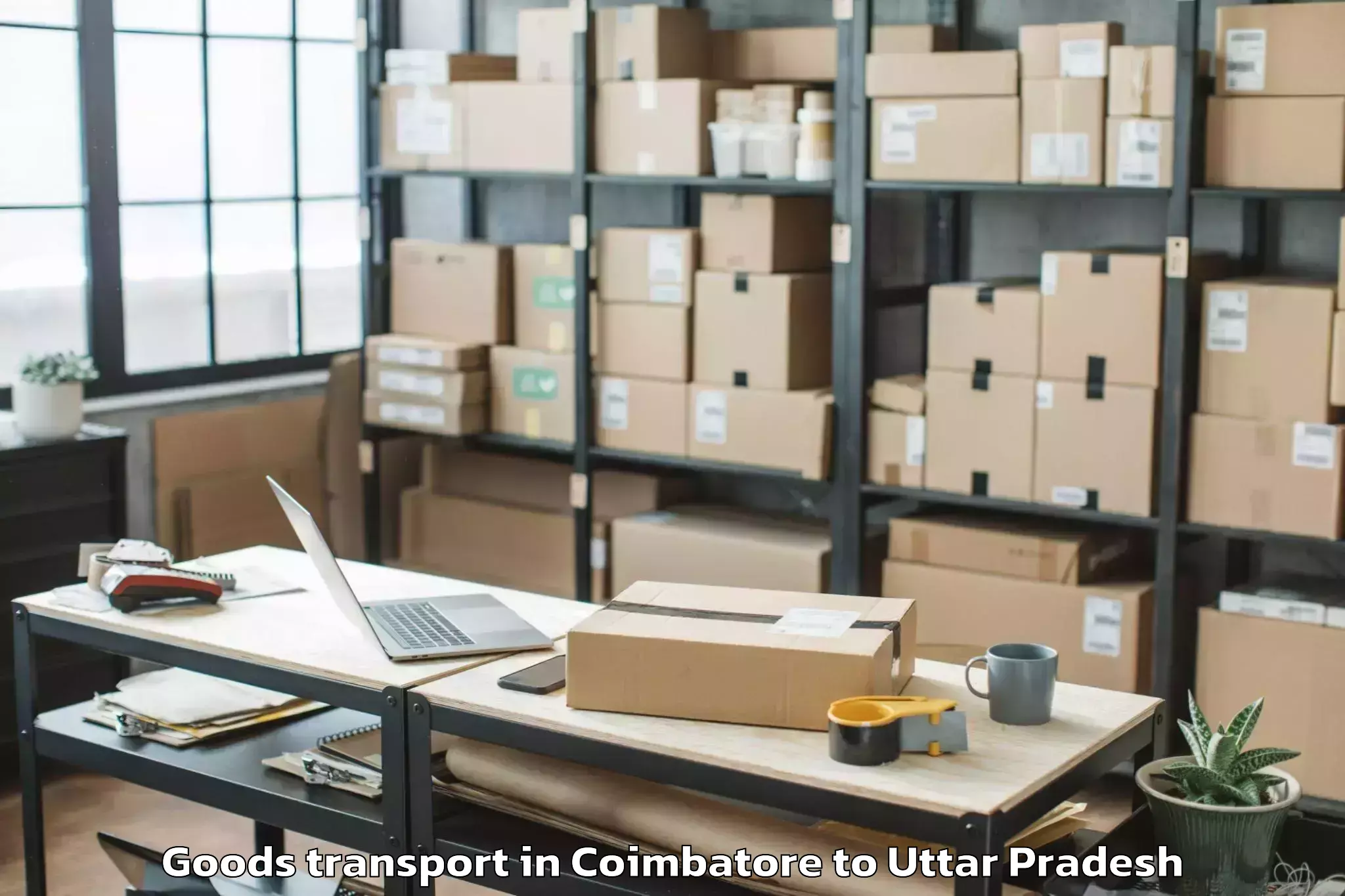 Top Coimbatore to Belthara Road Goods Transport Available